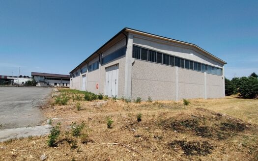 EDIFICIO ARTIGIANALE