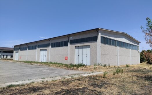 EDIFICIO ARTIGIANALE